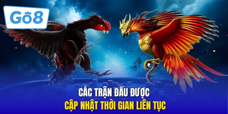 Các trận đấu được cập nhật thời gian liên tục