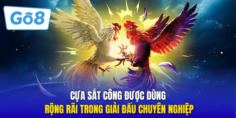 Cựa sắt công được dùng rộng rãi trong giải đấu chuyên nghiệp