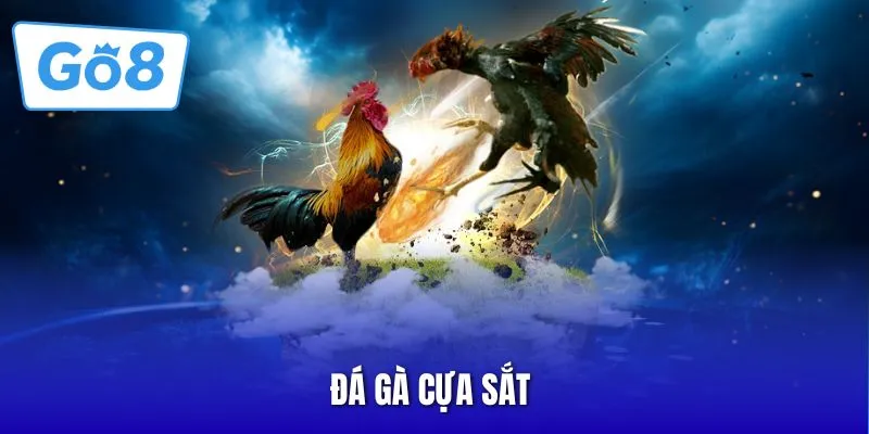 Đá gà cựa sắt