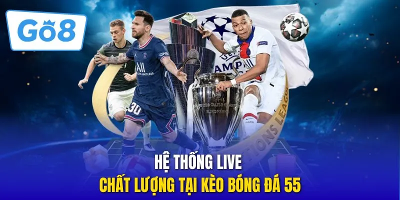 Hệ thống live chất lượng tại kèo bóng đá 55