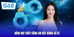 Nằm Mơ Thấy Công An Bắt Đánh Số Gì