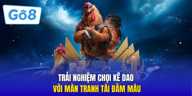 Trải nghiệm chọi kê dao với màn tranh tài đẫm máu